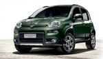 Дикая “Panda”