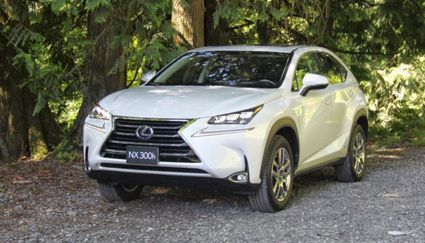  "Lexus NX": маленький, но гордый