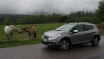 Peugeot 2008: легкая атлетика