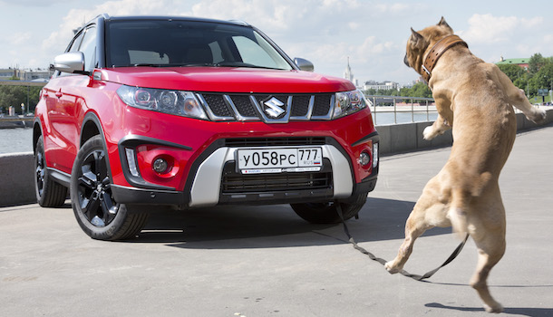 Suzuki Vitara S: под горячую руку
