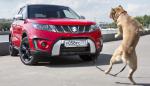 Suzuki Vitara S: под горячую руку