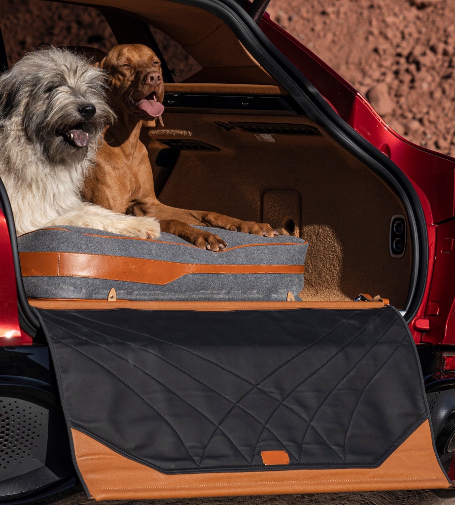 Aston_Martin_DBX34Pet_Pack01-jpg.jpg