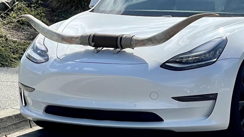 Tesla Model 3 получил «ковбойский» тюнинг