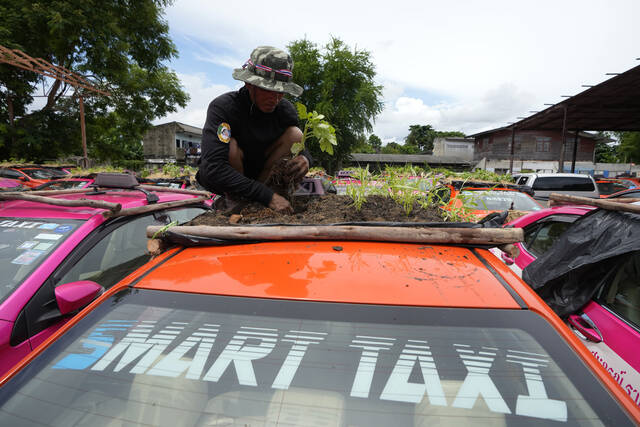 В Таиланде из такси сделали огород