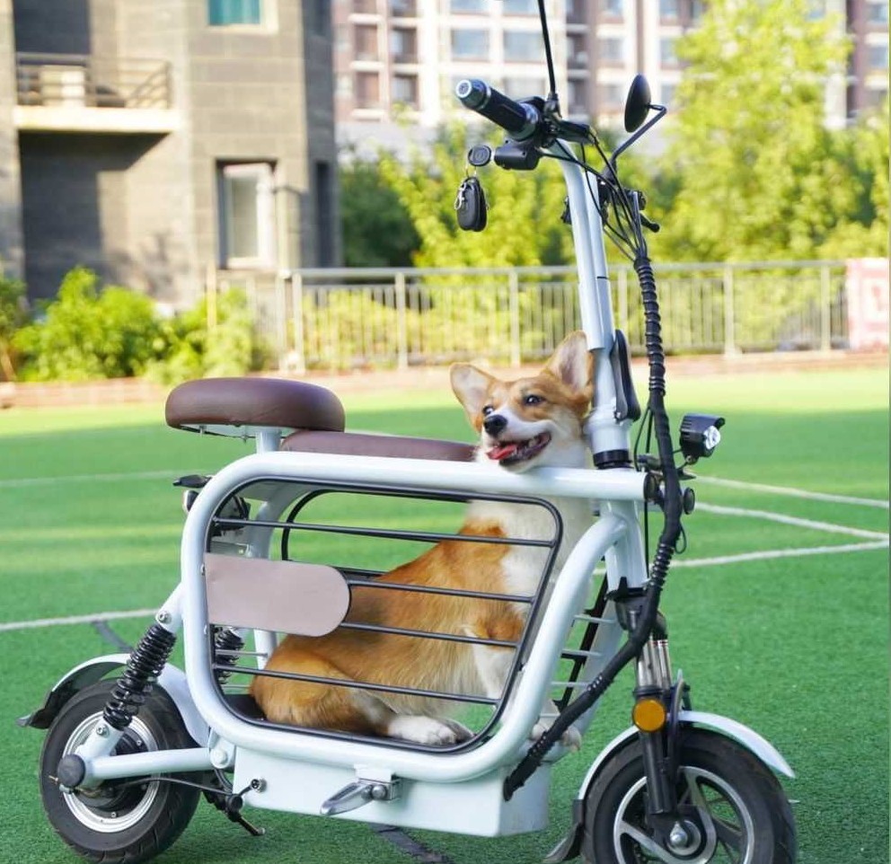 Разработан скутер для владельцев собак